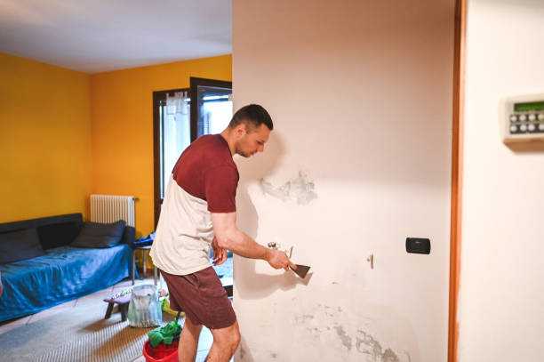 Best Mold Remediation Experts  in Tornillo, TX